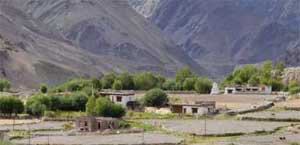 livelihoods in ladakh