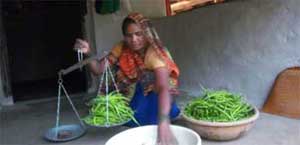 livelihoods in umaria, madhya pradesh